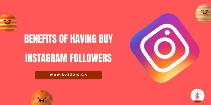 Buy Instagram Followers Canada